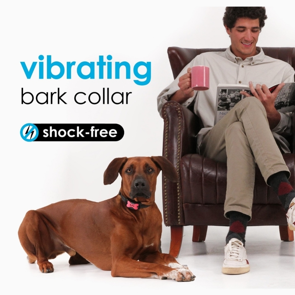 *DogRook Dog Bark Collar (Medium)